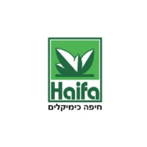 לוגו חברותArtboard 1 copy 30